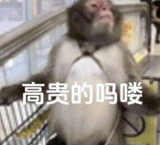 ǳһ¹ͮղҲգ