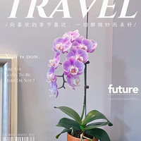 �������Ŀӱ����룬�������������ǻ������