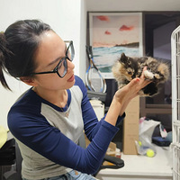 �����ձ�����è����ɶ����