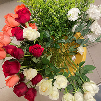 �ʻ����ڳ��ļ��ڣ��ǾͰ�������