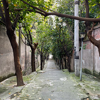 ���ҵ�С��ȥ��Ȯ�˹�ȡ���ش��ˡ�