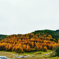 ɽҰеƣҲй