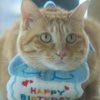 ��è�ĵ�5��д��