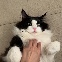 ������ְ��èʦ��