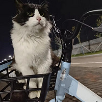 ѧУ���˵ĳ��ɰ���ëС��ţ