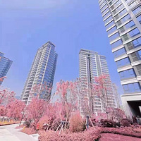 ��С����װ30Ԫ����/300�׿�����ȫ���� ��һ�����Ҫע��