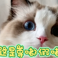 úྣһĳ˴˰......