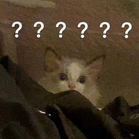 ҿ70ĵӰԺյˣҪ˷ѵĿ