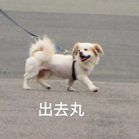 ˣЩطҶڣҪٵһ꣡