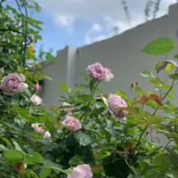 �����¼�����ӵ��