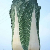 ÿĵر꣬ЦˣĶͻй