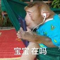 1121ֵ С8ö19.82121.9