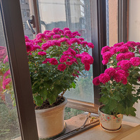 ���ĵ�һ�죡