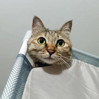 �����ٴβ��ⶾ��