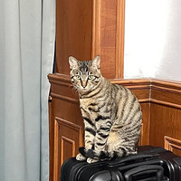 �ҵ����Ѿ�10���