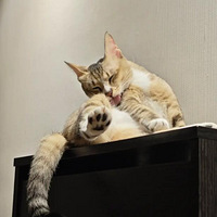 ���ܲ��� �ɹ���Ҳ���ɵ���