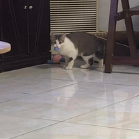 �ǲ���ȡ����С������ϲ������ֶ���