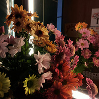 �ﶬ�Ŀ����Ǿջ�����