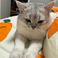 �ҵ����䣬���ҼҰ���³�����1�