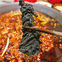 졪ζڽð