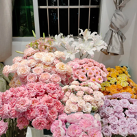 �ʻ����ҵľ���