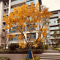 ��Ӳװ��ҵ������ϸ�飬�����ʫ����¼ª�ҳɳ����