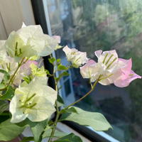 ��������������÷��������ĺܲ���Ŷ