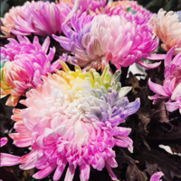 ���죬�������;���