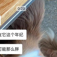 ��ʵ�Ҳ����֣���ֻ�ǱȽ�����~