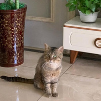 ���������ʱ�����ݵģ�����ֻ��Ϊ�˱�ů��������