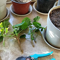 �����������ʱ�⡫�������ÿ�