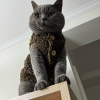 �����ˣ����·��ˡ�