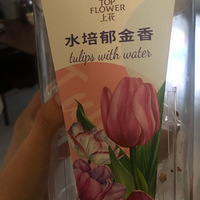 ˮ��������