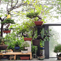 �����ҵ��辰