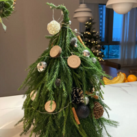 ���찲����ʥ����