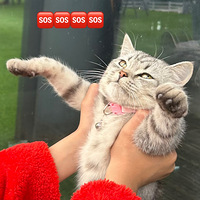 ����������������ʺ�٣����ſ��ң�