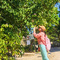 Hʨ��ɽ���ߵ�ɽȷʵ��