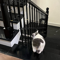 ���ҵ�3+0.5+��԰�㶨���͵������������ˣ�