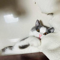 �����̫�ɰ�����