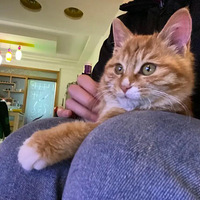 ��ȫ���翴�ҵĿɰ�Ů��