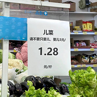 ˣǲֻд񿴵ö