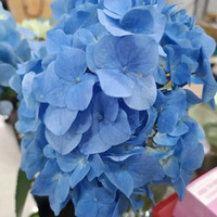 ��¼��ÿ������Ļ���