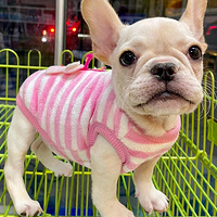 ��ֻС�����ú�ѽ