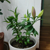 �ֵİٺϿ����ˣ��ÿ���~