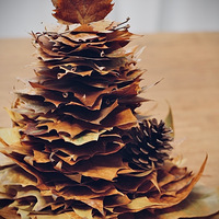 ��ҪǮ��ʥ����������������