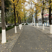 �����ŵĻ�԰��ĩ������Ӵ����