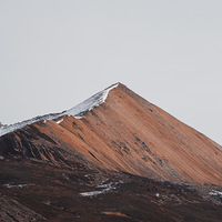 ֮