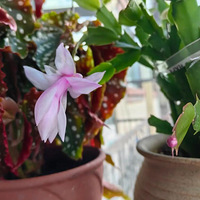 ��ů�ĳ�����̫�ʺϿ�����