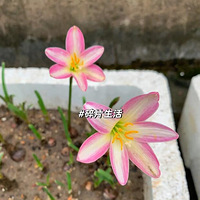 ���ַ�����Ҳ�ܺÿ���������Ǵ�С�ֵ���Ļ���