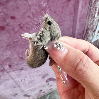 �����ϱ����죬�������𾪵ľ�Ȼ�ǽ����Сǿ